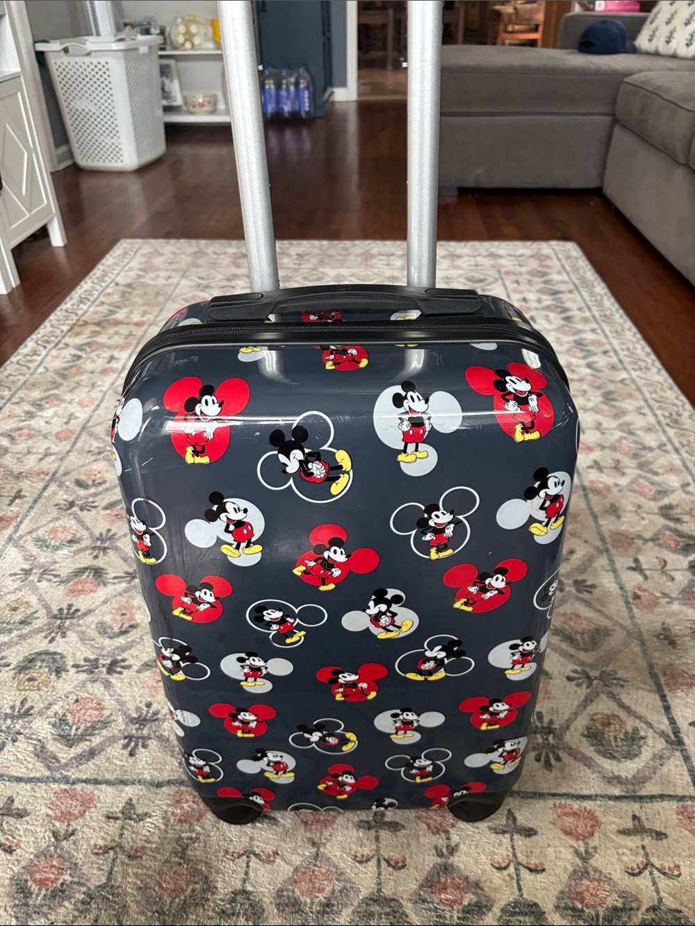 Mickey Mouse Carry On Luggage